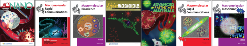 Publikationen | Forschungsgruppe Makromolekulare Therapeutika Prof. Dr. Lutz Nuhn