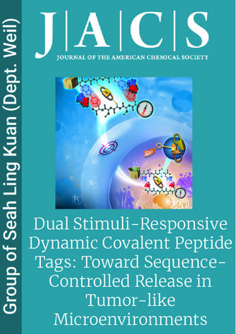 Dual Stimuli-Responsive Dynamic Covalent Peptide Tags: Toward Sequence-Controlled Release in Tumor-like Microenvironments