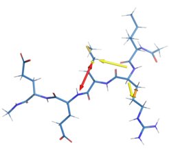 Visualization of radical migrations in a peptide simulated with KIMMDY.