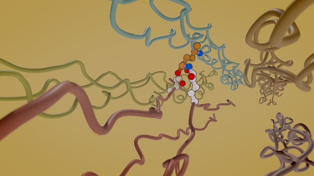 Mechanobiology & Mechanochemistry