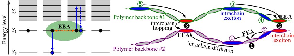 Super-diffusion of Excitation Energy
