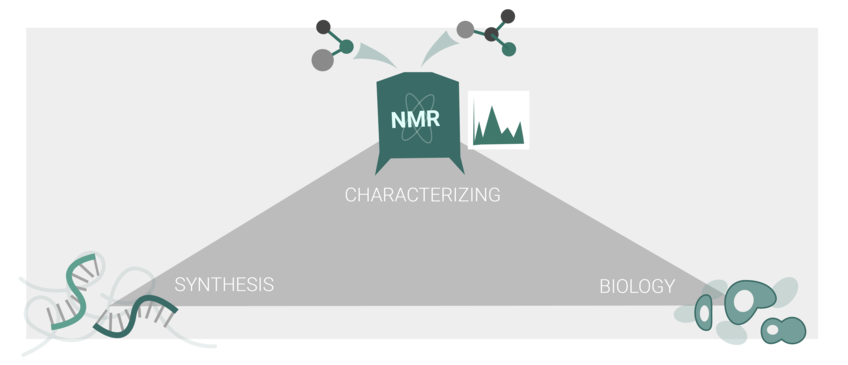 Methods | AK Weil Methods | AK Weil