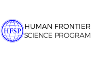 HFSP (Human Frontier Science Program): "Structure and biophysics of disordered domains mediating RNP granules: from atoms to cells"