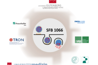CRC1066: Nanodimensional polymer therapeutics for tumor therapy (2021-2025)