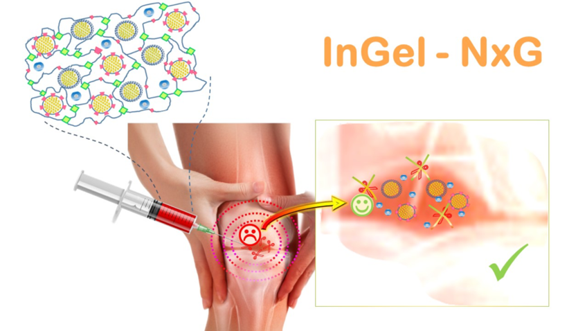 Injizierbare, adaptive Hydrogele der nächsten Generation (InGel NxG) Injizierbare, adaptive Hydrogele der nächsten Generation (InGel NxG)