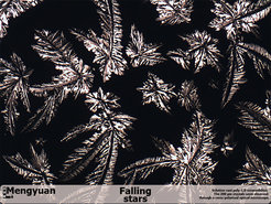 Das Gewinnerbild "Falling Stars"