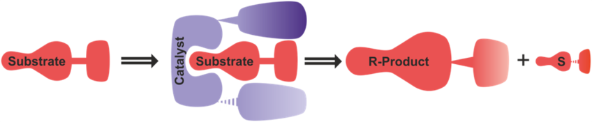 ERC Fundamentals of AsymmeTric Organo CATalysis (FASTO-CAT)