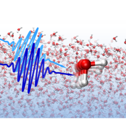 Die Lebensdauer von lokalen Wasserstrukturen kann mit ultrakurzen Laserpulsen bestimmt werden.