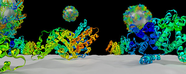 Nanoparticle Protein Interactions