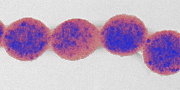 Nanokolloidale und suprananokolloidale Struktur und Funktion