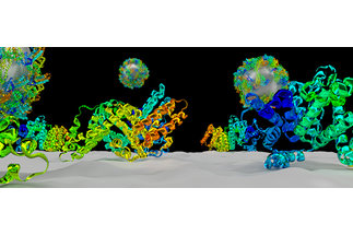 Nanopartikel-Protein-Wechselwirkungen