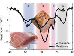 Caloric measurements show different areas of protein denaturation. Cooking temperatures below 60 °C keep the meat tender and juicy.