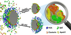 C. Weber, J. Simon, V. Mailänder, S. Morsbach, K. Landfester: „Preservation of the soft protein corona in distinct flow allows identification of weakly bound proteins”, Acta Biomaterialia 2018, 76, 217-224