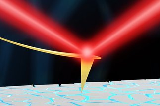 Scanning Probe Microscopy and Surface Forces