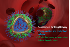 Reproduced from Ref. https://pubs.rsc.org/en/content/articlelanding/2020/NR/C9NR09879H#!divAbstract with permission from the Royal Society of Chemistry.