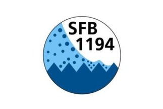 SFB 1194
