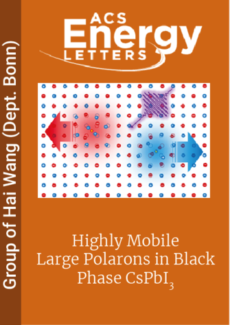 Highly Mobile Large Polarons in Black Phase CsPbI<sub>3</sub>