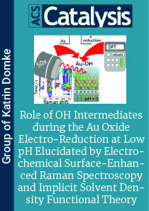 Role of OH Intermediates during the Au Oxide Electro-Reduction at Low pH Elucidated by Electrochemical Surface-Enhanced Raman Spectroscopy and Implicit Solvent Density Functional Theory