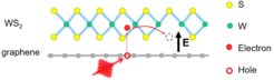 Following photoexcitation and interfacial charge transfer (CT, the dash line), the interfacial defects (e.g. sulfur vacancies) can “capture” (the red solid line) and “store” the injected electrons, leading to an extremely long-lived charge separation and thus an interfacial electrical field (E) to effectively gate graphene.