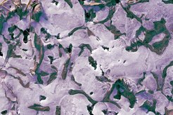 With their measurements, scientists can now better understand the processes occurring in permafrost soils at the boundary layer between ice and clay material