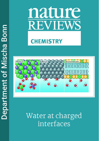 Water at charged interfaces