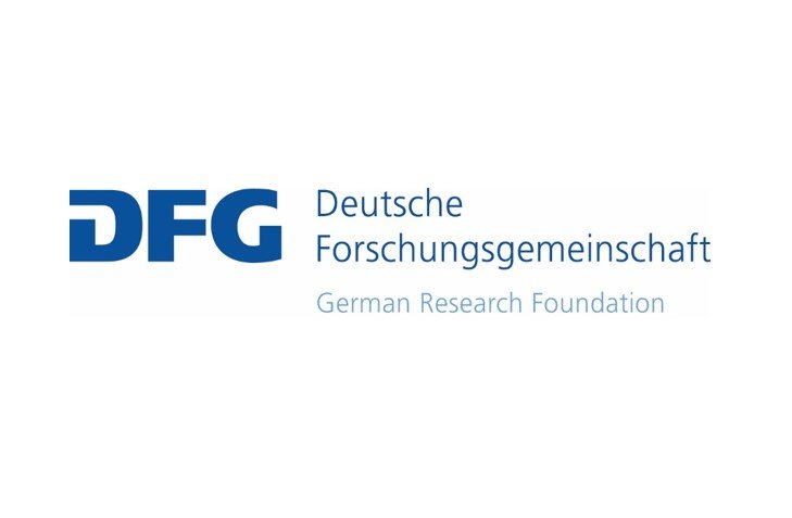 Identifizierung und Charakterisierung von neuen funktionalisierten Nanofibrillen für die Regeneration von Nervenzellen