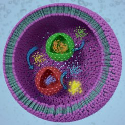 Artificial cells: nanoreactors can be engineered to function as internal organelles in artificial cells.