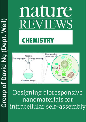 Designing bioresponsive nanomaterials for intracellular self-assembly