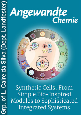 Synthetic Cells: From Simple Bio-Inspired Modules to Sophisticated Integrated Systems