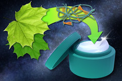 Mit Hilfe von Peptiden sollen synthetische Rheologie-Modifizierer im Projet „Kosmogel“ durch abbaubare und nachhaltige Produkte ersetzt werden