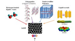 Figure 1. Pictorial representation of soft materials (rod-like and disk-like liquid crystals, semicrystalline polymers, polypeptides, and hydrogen bonded systems) inside nanoporous aloumina.