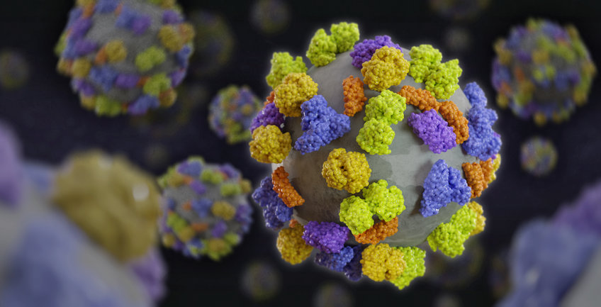 Nanoparticle Protein Interactions Nanoparticle Protein Interactions