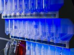 Synthese spezifischer Peptide, welche Nanofibrillen ausbilden.