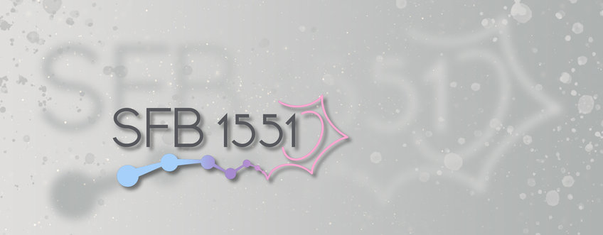 Sonderforschungsbereich 1551 Sonderforschungsbereich 1551