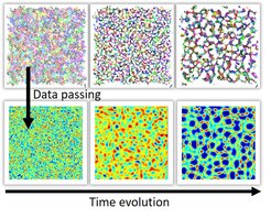 Multiscale methods can be used to track and understand the formation of complex network structures during phase separation of macromolecules in solution.