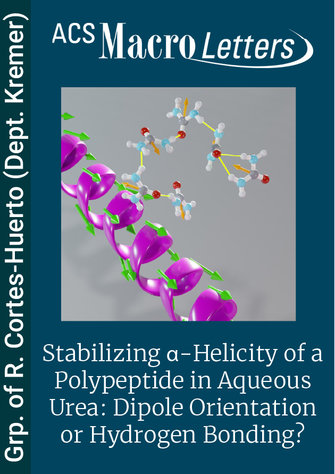Stabilizing α-Helicity of a Polypeptide in Aqueous Urea: Dipole Orientation or Hydrogen Bonding?