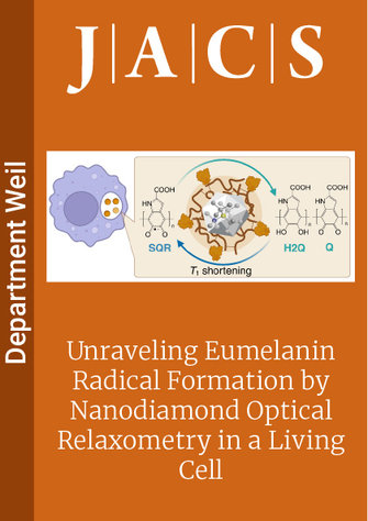 Unraveling Eumelanin Radical Formation by Nanodiamond Optical Relaxometry in a Living Cell