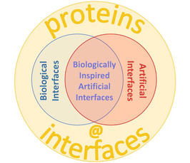 Proteins @ Interfaces School