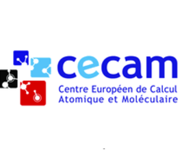 CECAM-Workshops - Statistical mechanics of polymers under constraints - on the occasion of Kurt Binder's 75th birthday CECAM-Workshops - Statistical mechanics of polymers under constraints - on the occasion of Kurt Binder's 75th birthday